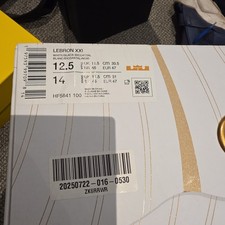 Used Men’s Nike LeBron XXI