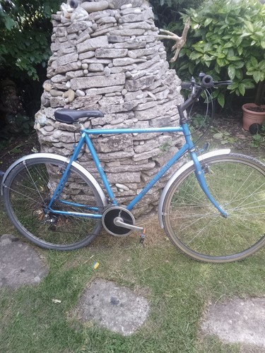 Raleigh pioneer prestige - raleigh,