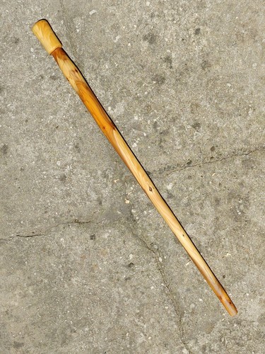 English yew shillelagh walking - yew,