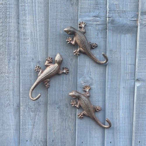 Set gecko wall art garden - gecko,