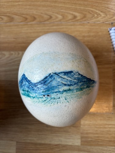 Large painted ostrich egg - large,