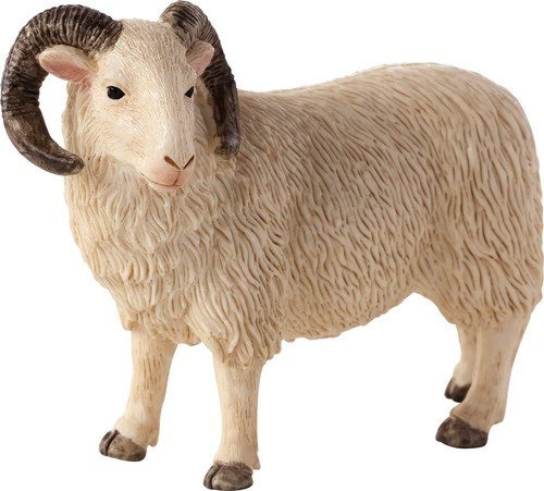 Animal planet sheep ram - animal,