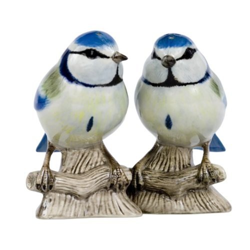 Blue tit salt and - tit,