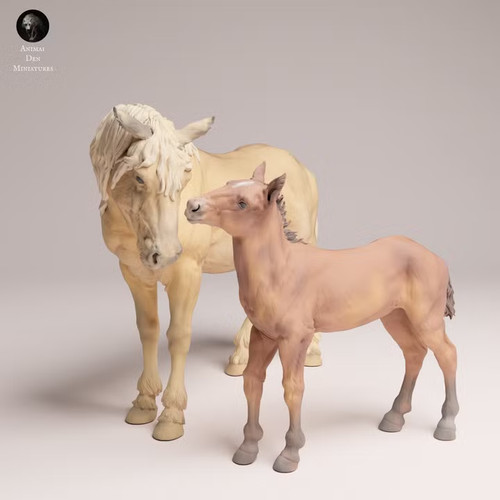 Wild horse and calf - horse,