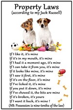 Jack Russell Terrier Dog Lovers Gift  Flexible Magnet Dog Property Laws