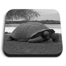 Square MDF Magnets - BW -