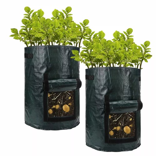 Gallon potato grow bag - 10,