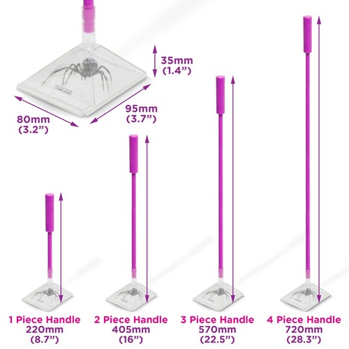 Katcha pink humane - katcha, spider