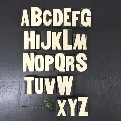 Wooden letter blocks z - wooden,