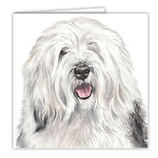 Old English Sheepdog greetings