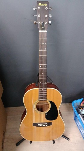 Morris acoustic guitar - morris, fg-15