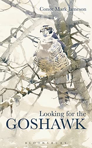 Looking for the goshawk - the,