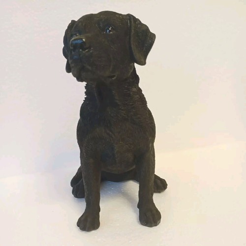 Vivid arts black labrador dog - arts,