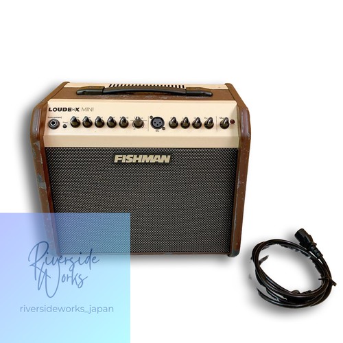 Fishman loudbox mini acoustic - mini,