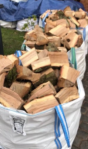 Unseasoned firewood logs - firewood,