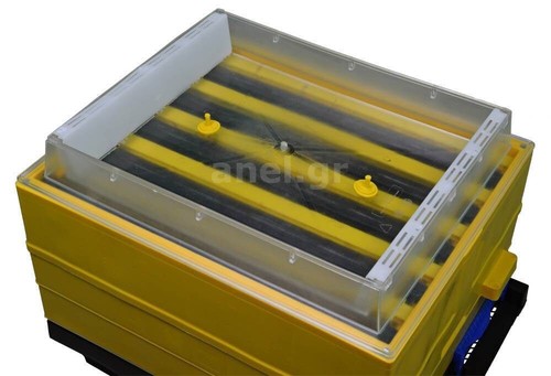 Transparent langstroth beehive - transparent,