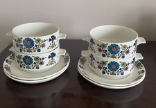 Midwinter Country Garden. Soup