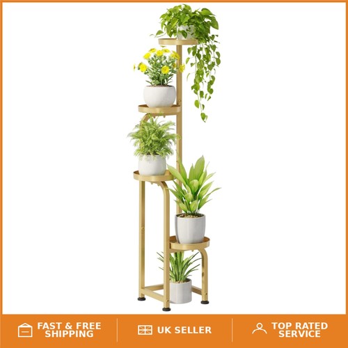 Compact gold tier plant - gold,