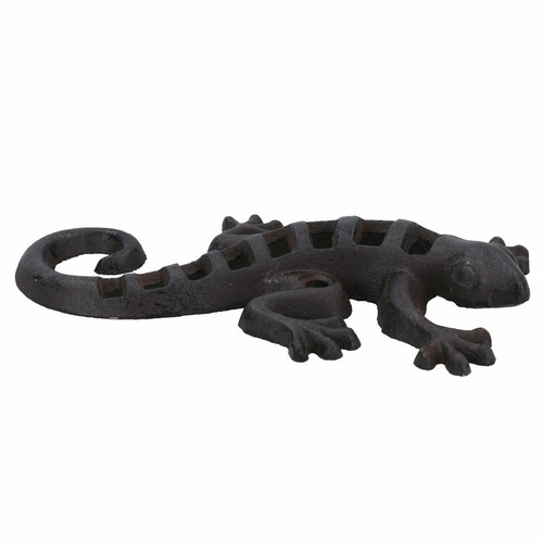 Lizard gecko garden wall - garden, door