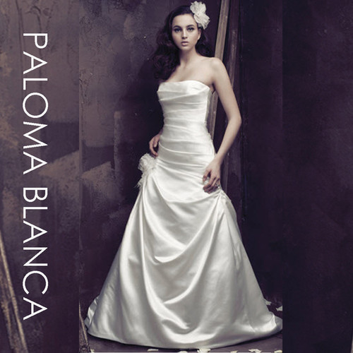 Paloma blanca 4008 - 10,