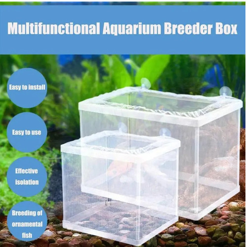 Aquarium fish breeder - fish, box