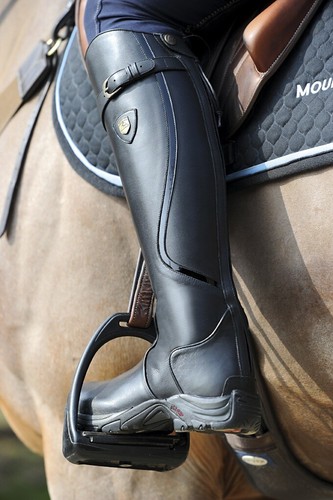 Mountain horse snowy river - horse,