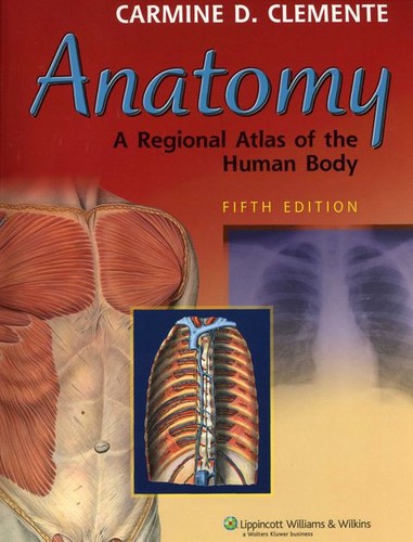 Anatomy regional atlas of - regional,