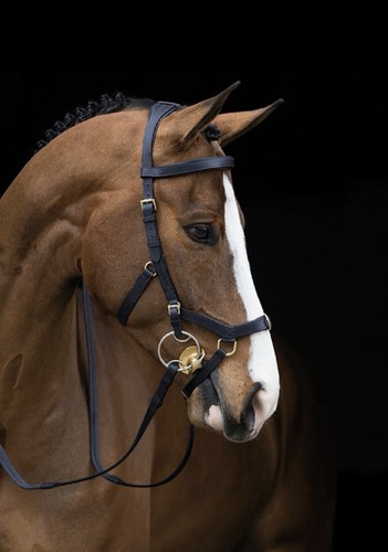 Horseware rambo micklem multi - rambo,