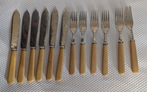 Vintage co 12 piece - 12-piece, fish