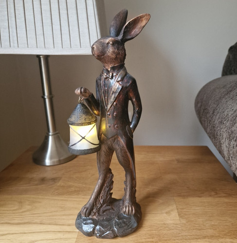 Debon hare with - debon,