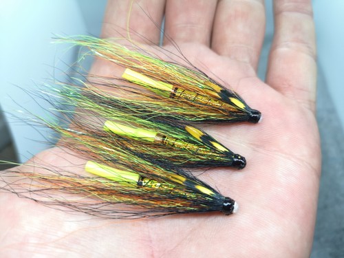Willie gunn holo chartreuse - 3,