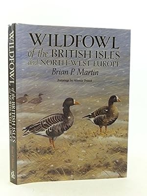 Wildfowl the british - of, isles