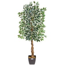 Artificial Variegated Ficus