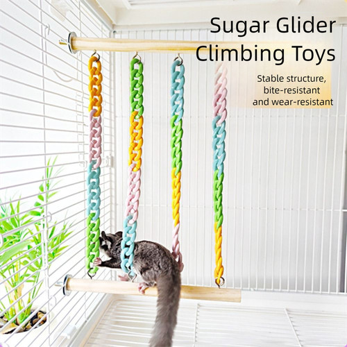 Sugar glider climbing - sugar,