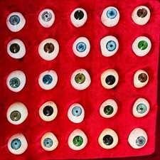 human  Prosthetic -Set of 25