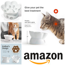 Cat Dog Bowls Bowl Slow Feeder Wet & Dry Food Bowl Elevated Water 13 oz Ceramic