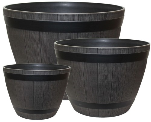 Brown wooden barrel plant - barrel, pot