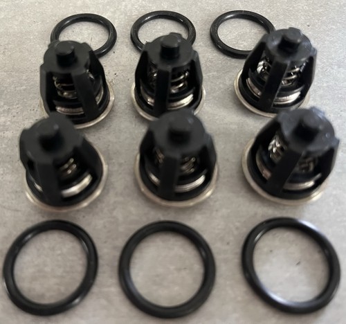 Interpump general pump valve - interpump/general,