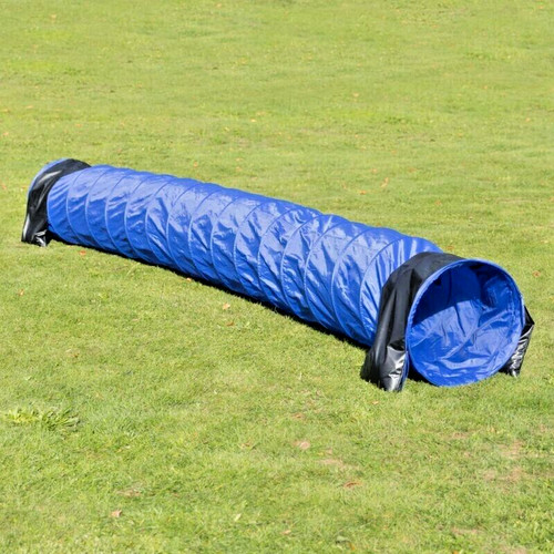 Dog agility tunnel training - agility,