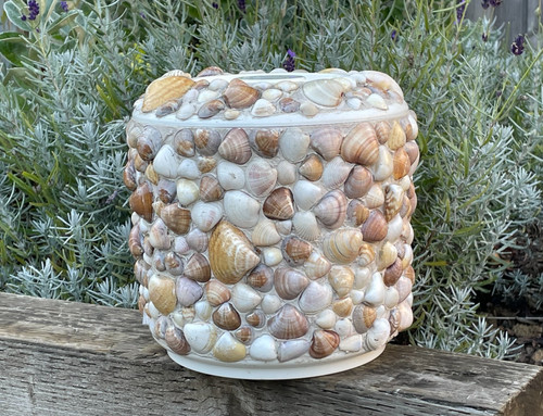 Vintage seashell ice - vintage, bucket