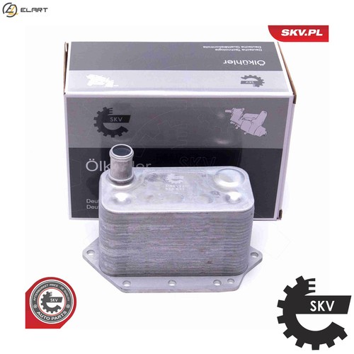 Oil cooler engine - oil, 31skv221