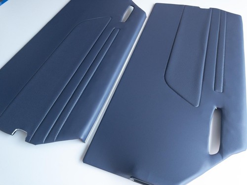 Door panel left right blue - left,