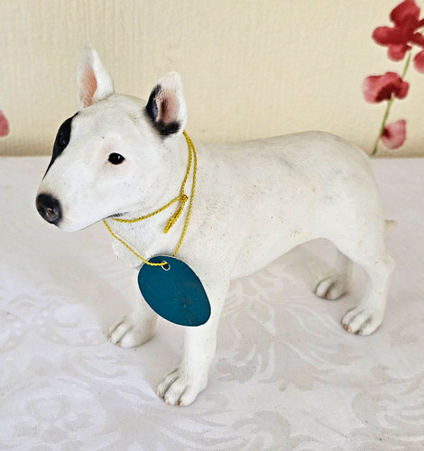 Leonardo english bull terrier - leonardo,