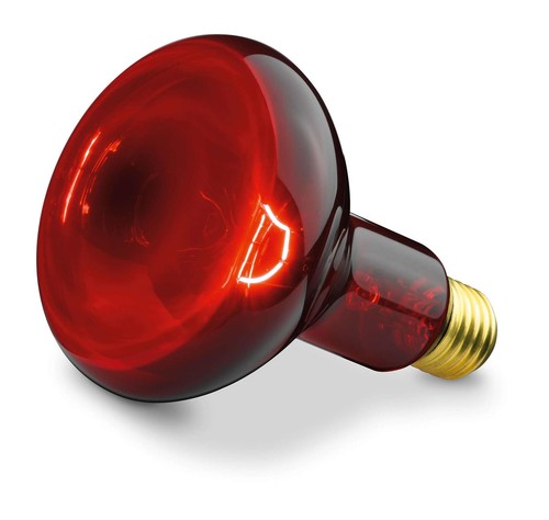 Beurer 230v r95 infrared ir100 - beurer,