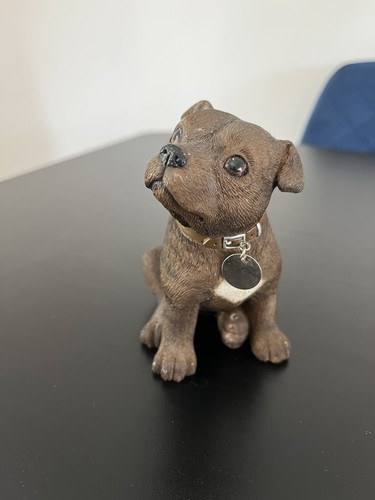 Staffordshire bull terrier - staffordshire,