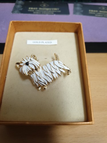 Costume jewellery gold tone - jewellery,