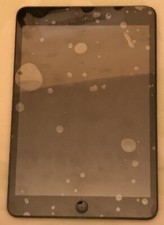 Apple iPad mini Black (1st