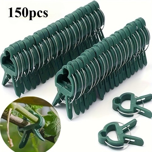 Reusable vine plant - reusable,