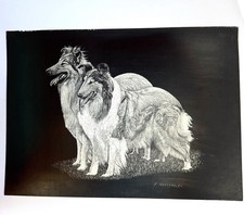 Rough Collie Dogs Original Art Scraperboard Black and White