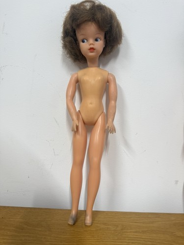 Vintage pedigree sindy doll - sindy,
